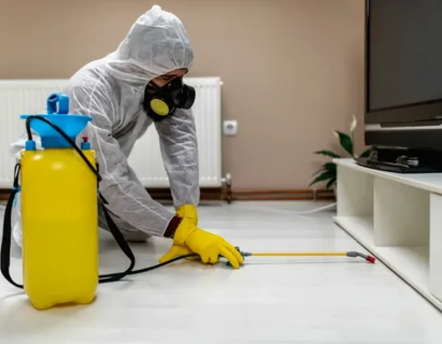 Sanitization Services